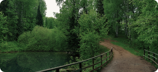 Дендропарк - 5 минут на авто